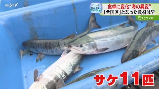 STVニュース北海道