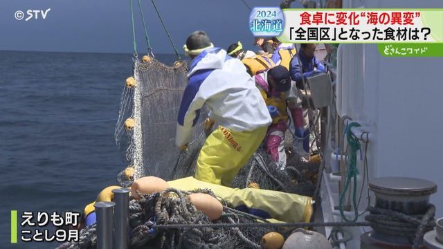 STVニュース北海道