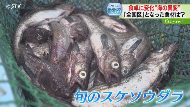 STVニュース北海道