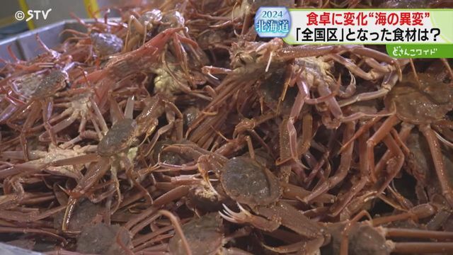 STVニュース北海道