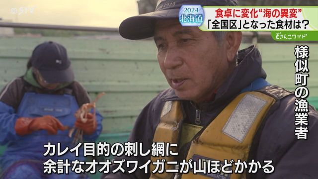 STVニュース北海道