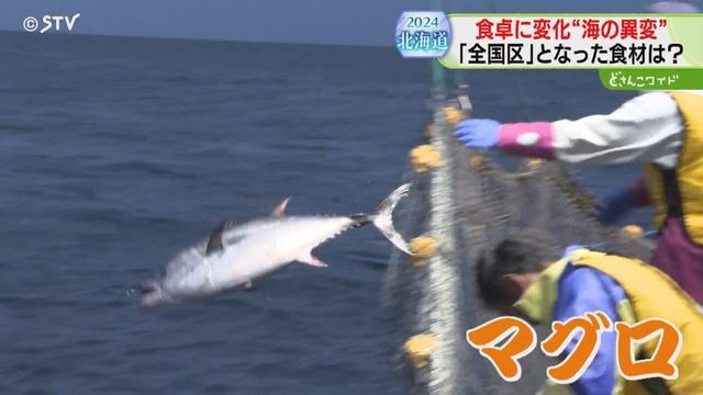 STVニュース北海道