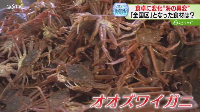 STVニュース北海道