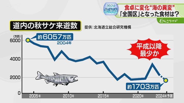 STVニュース北海道