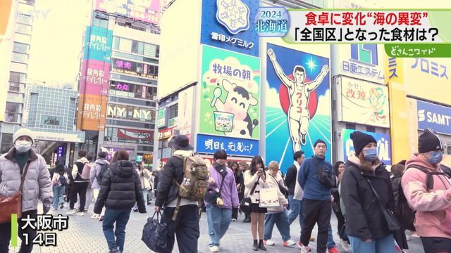 STVニュース北海道