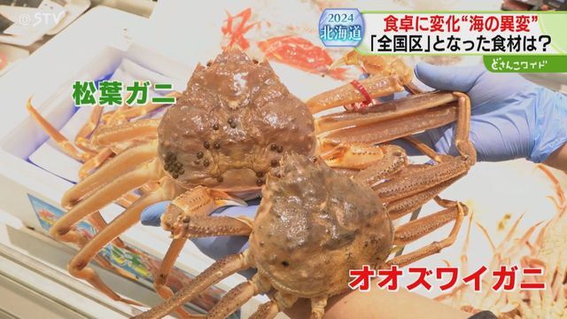 STVニュース北海道