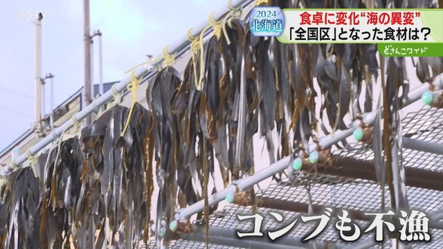 STVニュース北海道