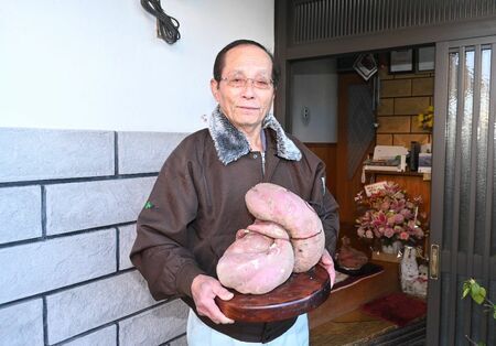 ヘビの形をしたサツマイモを収穫した石松静夫さん＝神埼市神埼町