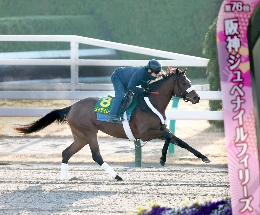 メイデイレディはダートコースでパワフルな走り