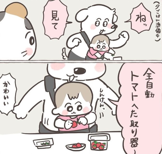 トマトのヘタを取る全自動マシーンが大活躍！？（ハズレさん提供）