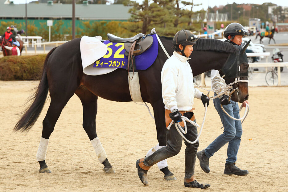 ７歳でもまだまだ元気なディープボンド