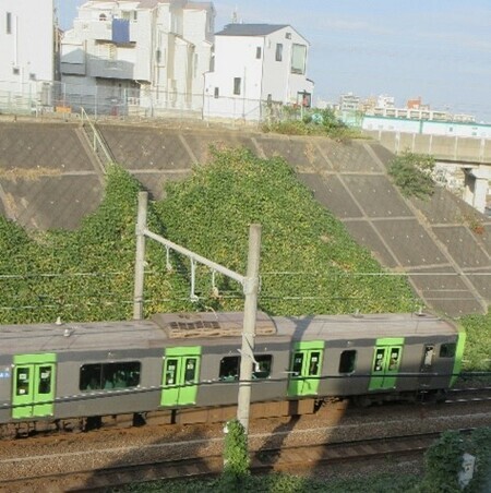 右カーブしながら勾配を下る外回り電車。右奥の高架上を東北新幹線が走る