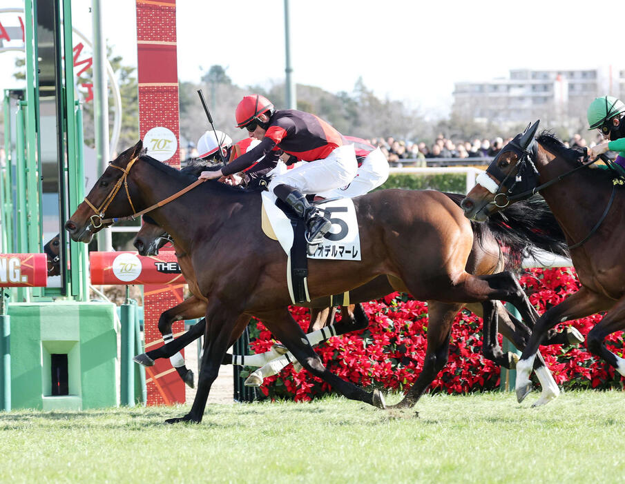 中山6R新馬戦を制したディオデルマーレとムーア騎手（撮影・鈴木正人）