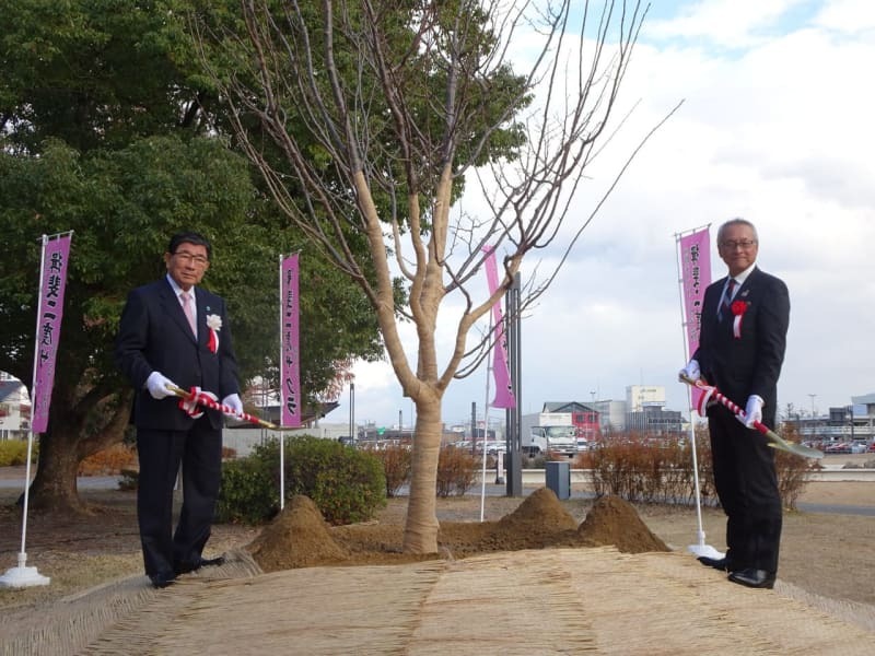 「揖斐二度ザクラ」を植樹した古田肇知事と宇佐美晃三大野町長＝２６日、岐阜市薮田南、ぎふ結のもり