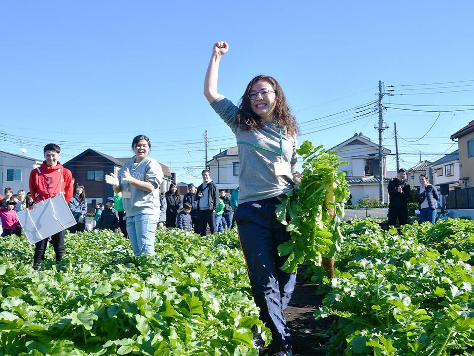 練馬大根を引き抜きガッツポーズの参加者