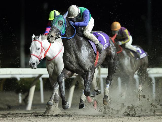 桐花賞を制したライアン(提供：岩手県競馬組合)