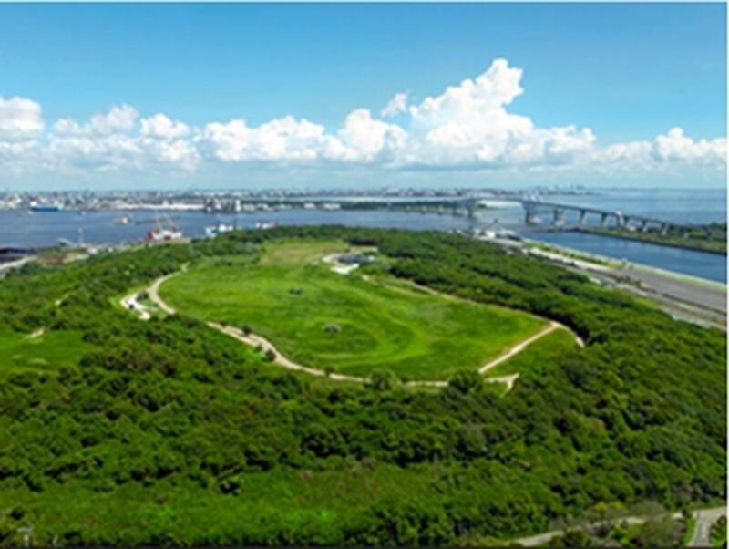 現在の海の森公園の全景