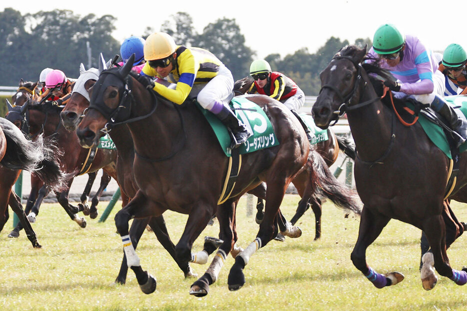 出走がかなった京都牝馬Ｓの覇者ソーダズリングに要注意