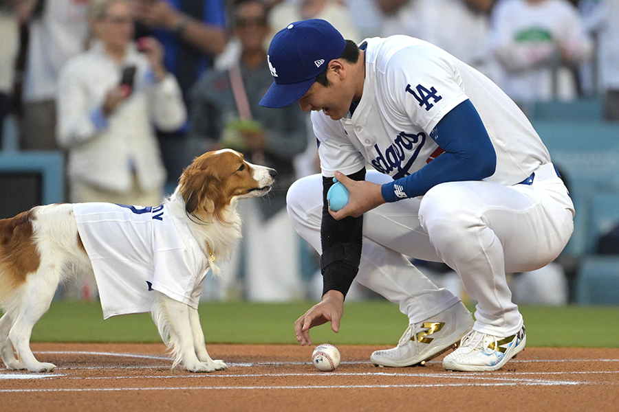 ドジャースの大谷翔平とデコピン【写真：ロイター】