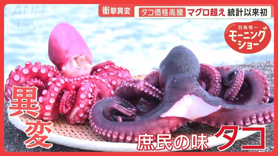 衝撃！タコがマグロの価格を上回る　統計以来初　“庶民の食材”に異変