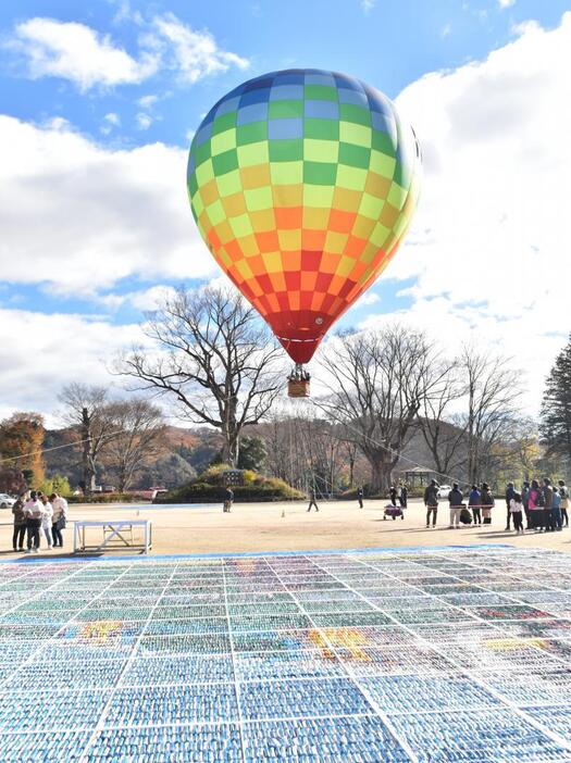 熱気球体験で高さ約20メートルから「リスカの地上絵」を眺めた=大子町大子の町立だいご小