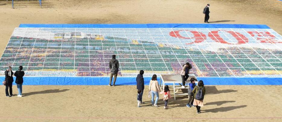 上空から見た「リスカの地上絵」=大子町大子の町立だいご小校庭