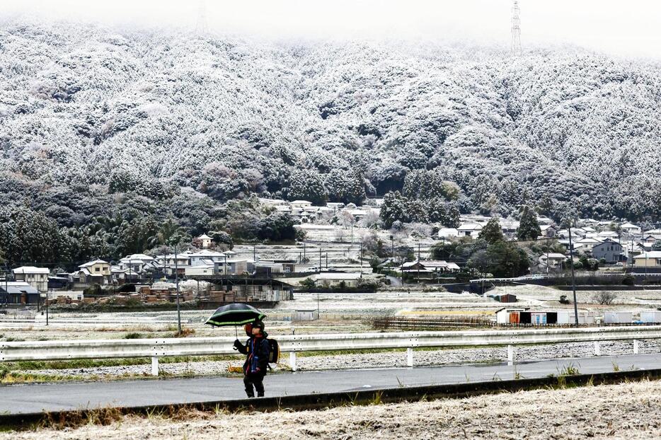 うっすらと雪が積もった福岡市内（19日午前8時3分、福岡市早良区で）＝佐伯文人撮影