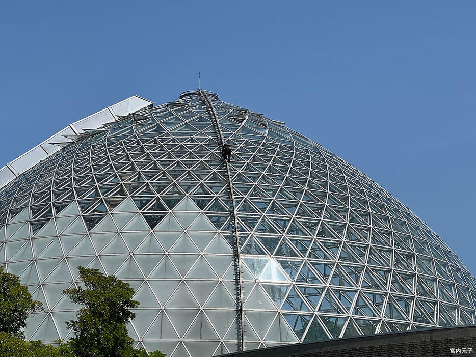 新潟県立植物園にて。外付けのキャットウォークを登って温室の掃除をする業者さん。見ているこちらがどきどきする。（写真提供／宮内元子）