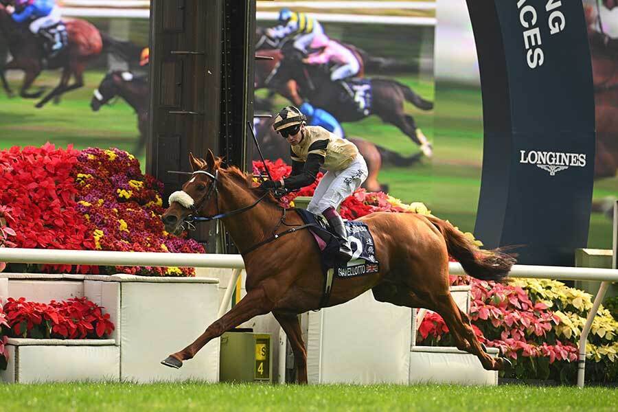 香港ヴァーズを制したジアヴェロット【写真：Getty Images】