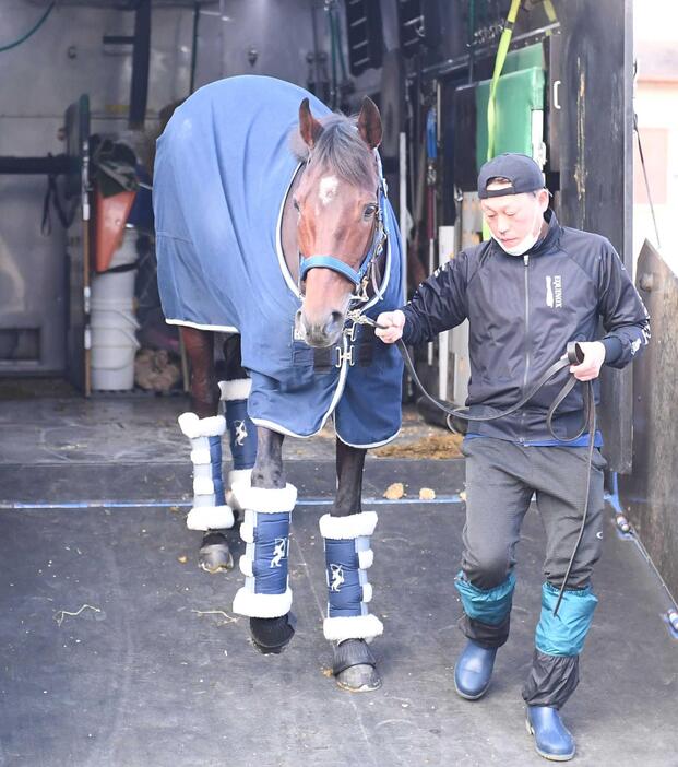 　中山競馬場に到着したブローザホーンと担当の富岡助手（撮影・園田高夫）