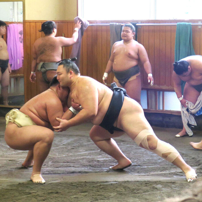 黒まわしで胸を出す元大関の朝乃山