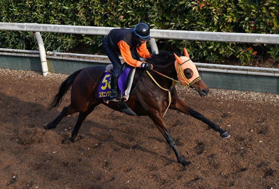 有馬記念の追い切りを行ったスタニングローズ（撮影・岩川晋也）