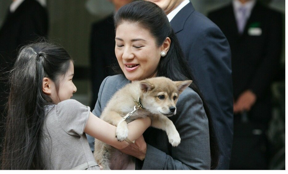 御料牧場に向かう皇太子（当時）ご一家。愛子さまから子犬の由莉をやさしく受け取る雅子さま＝2009年5月、栃木県のJR宇都宮駅、JMPA