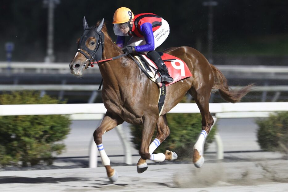 長浜特別・ユメノホノオと吉原寛人騎手 (C)高知県競馬組合