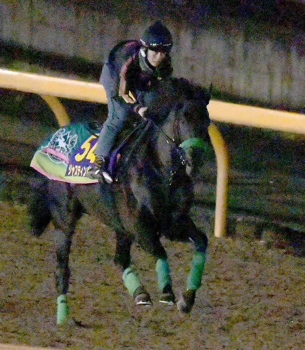 　伸び伸びとしたフォームで栗東ＣＷを駆けたジャスティンパレス（撮影・石井剣太郎）