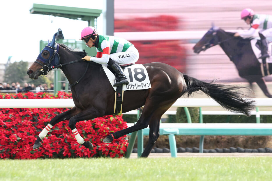 川田将雅騎手騎乗のロジャリーマインが２戦目でＶ（カメラ・高橋　由二）