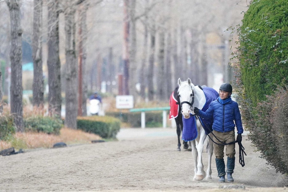 小雪が舞う中、運動するハヤヤッコ　（撮影・村上大輔）