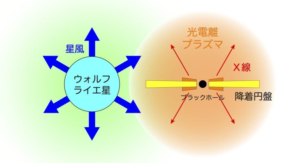 はくちょう座X-3で光電離プラズマが生成される仕組みの概略