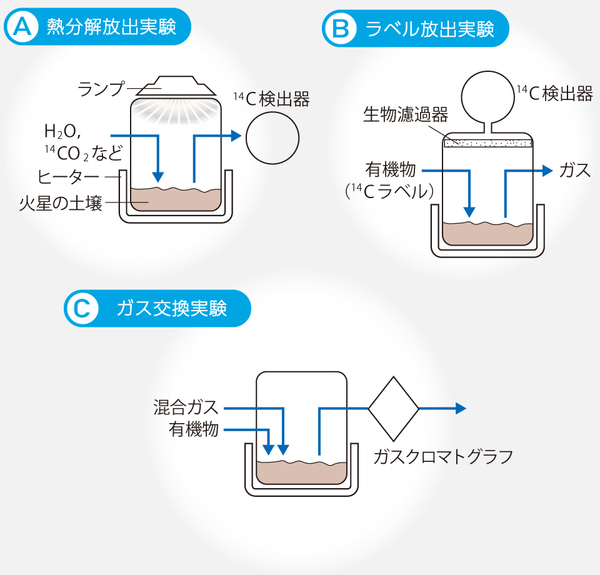 ヴァイキング生物学実験