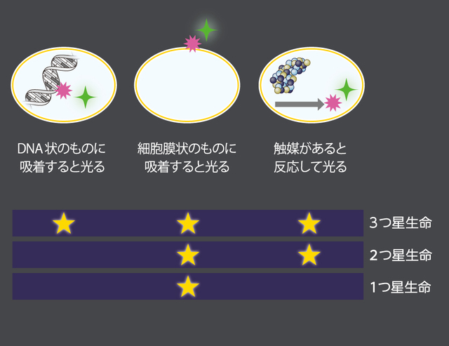 地球外微生物を評価する「ミシュラン方式」