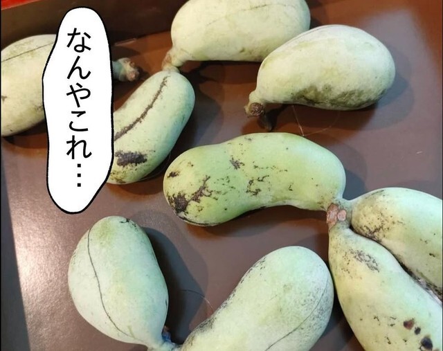 あまりに見たことのない果物に思わず「なんやこれ…」（もっこさん提供）