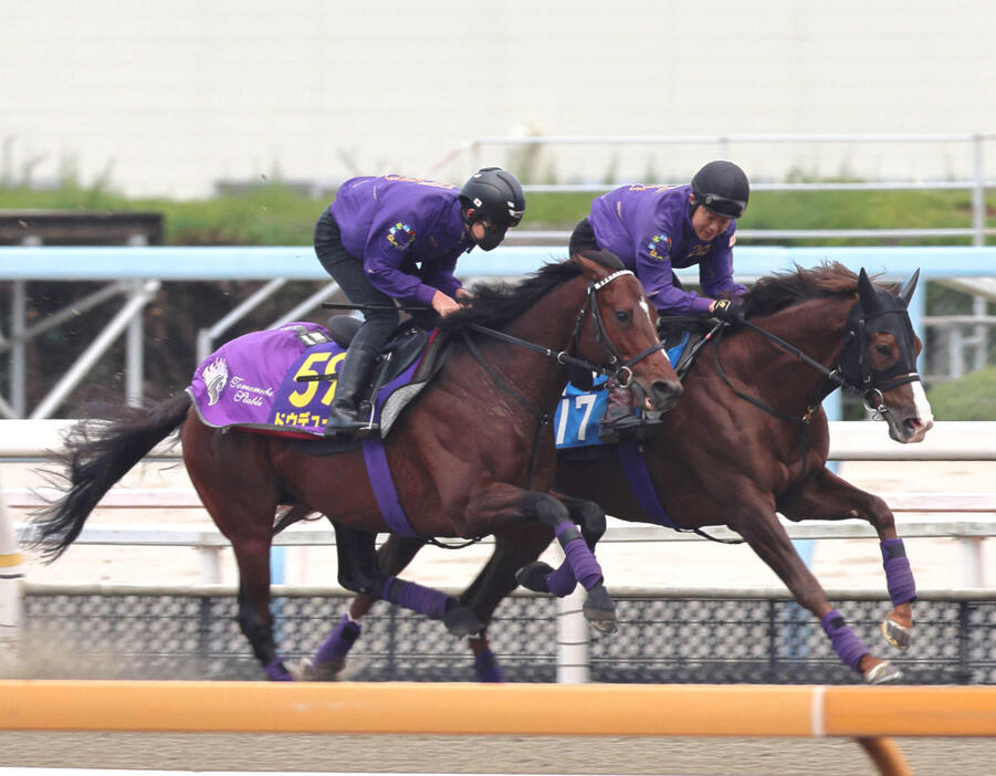 DPコースを併せ馬で仕上げられたドウデュース（左）（2024年11月20日撮影）