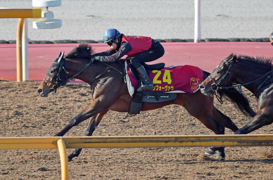 　栗東ＣＷで充実ぶりをアピールしたランフォーヴァウ（撮影・石湯恒介）