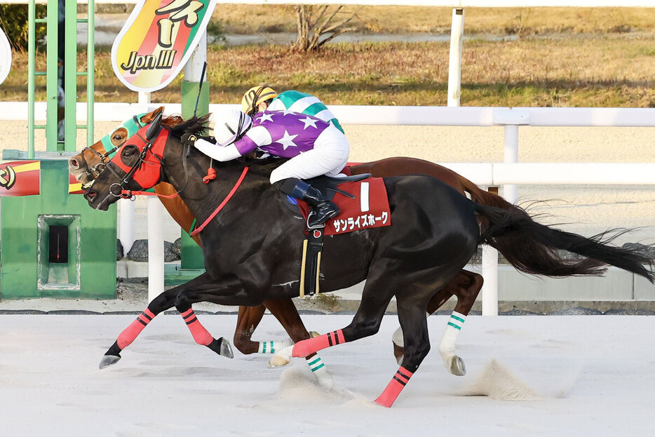 ハナ差の大激戦を制したフォーヴィスム（内、兵庫県競馬組合提供）