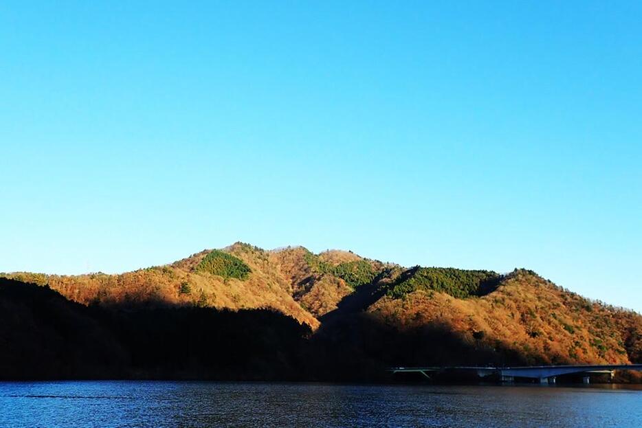 仏果山をはじめとする相州アルプスの山並み