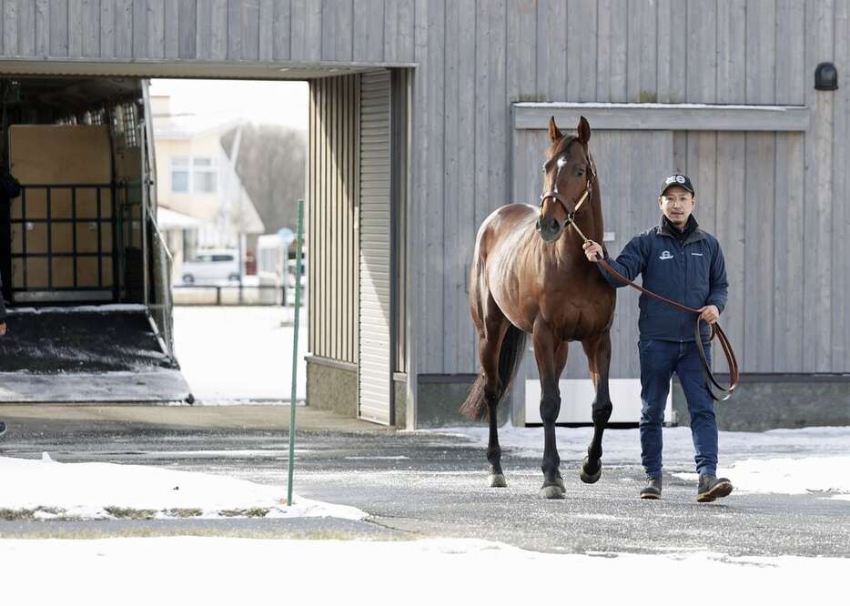 社台スタリオンステーションに到着したドウデュース＝27日、北海道安平町