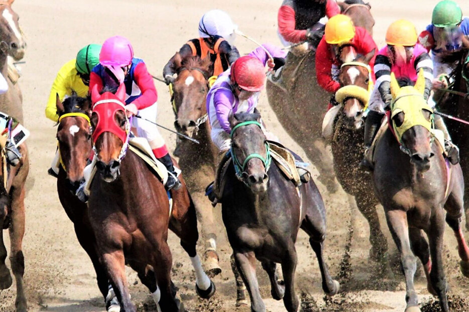 年末恒例「有馬記念」歴代優勝馬であなたの推しは？※画像はイメージ