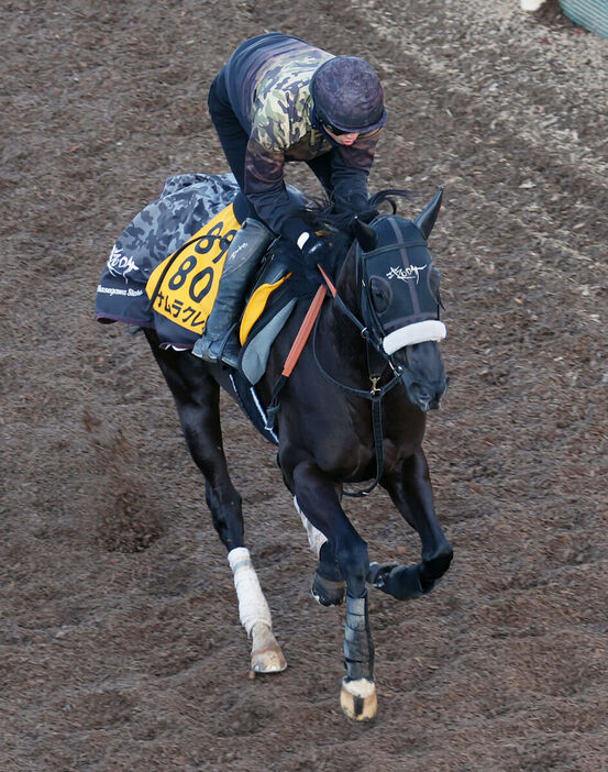 坂路を駆け上がるナムラクレア