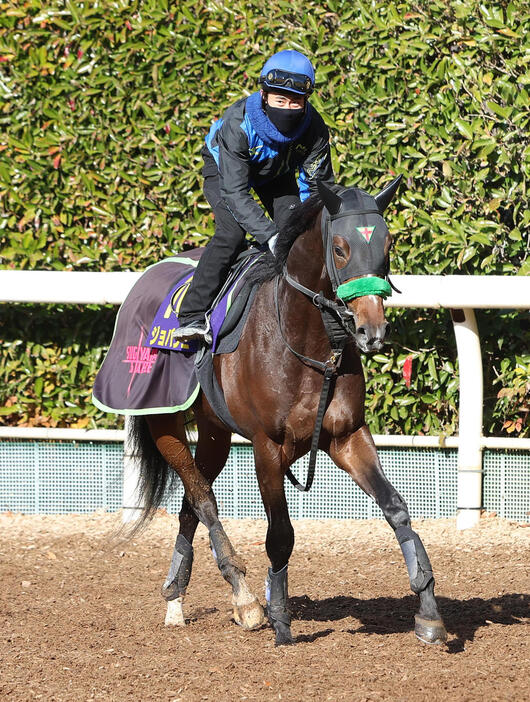 高倉騎手を背に坂路で調整するジョバンニ（撮影・白石智彦）