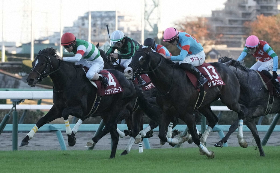 ＜中山11RステイヤーズS＞レースを制したシュヴァリエローズ（左端）（撮影・郡司修）